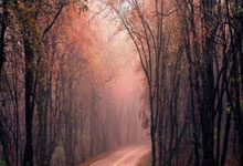 “江苏省体育产业发展:赛事带动消费,促进经济社会发展”.