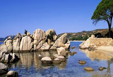 孙颖莎王曼昱今晚争冠人民日报微博.